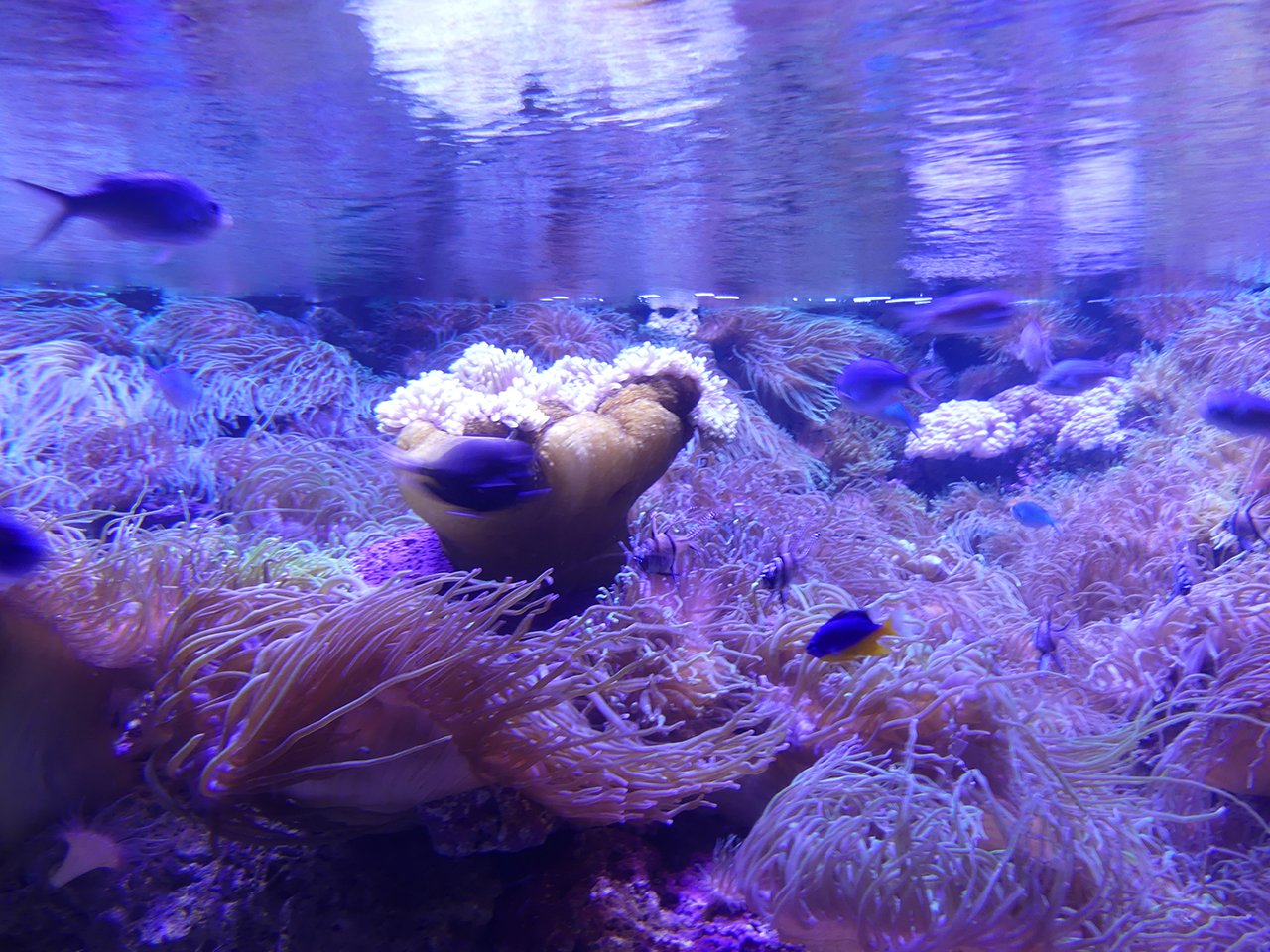 p1010803.jpg
