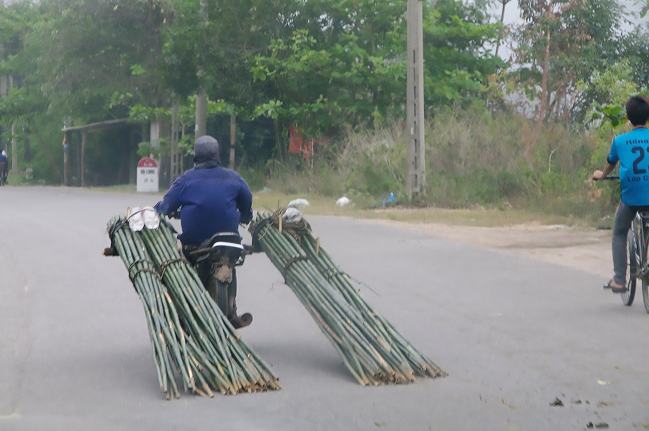 bamboobybike.jpg