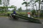 bamboobybike2_small.jpg