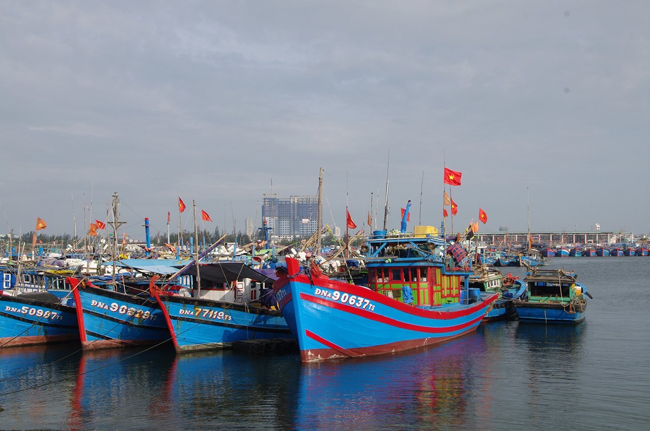 fishingboats2.jpg