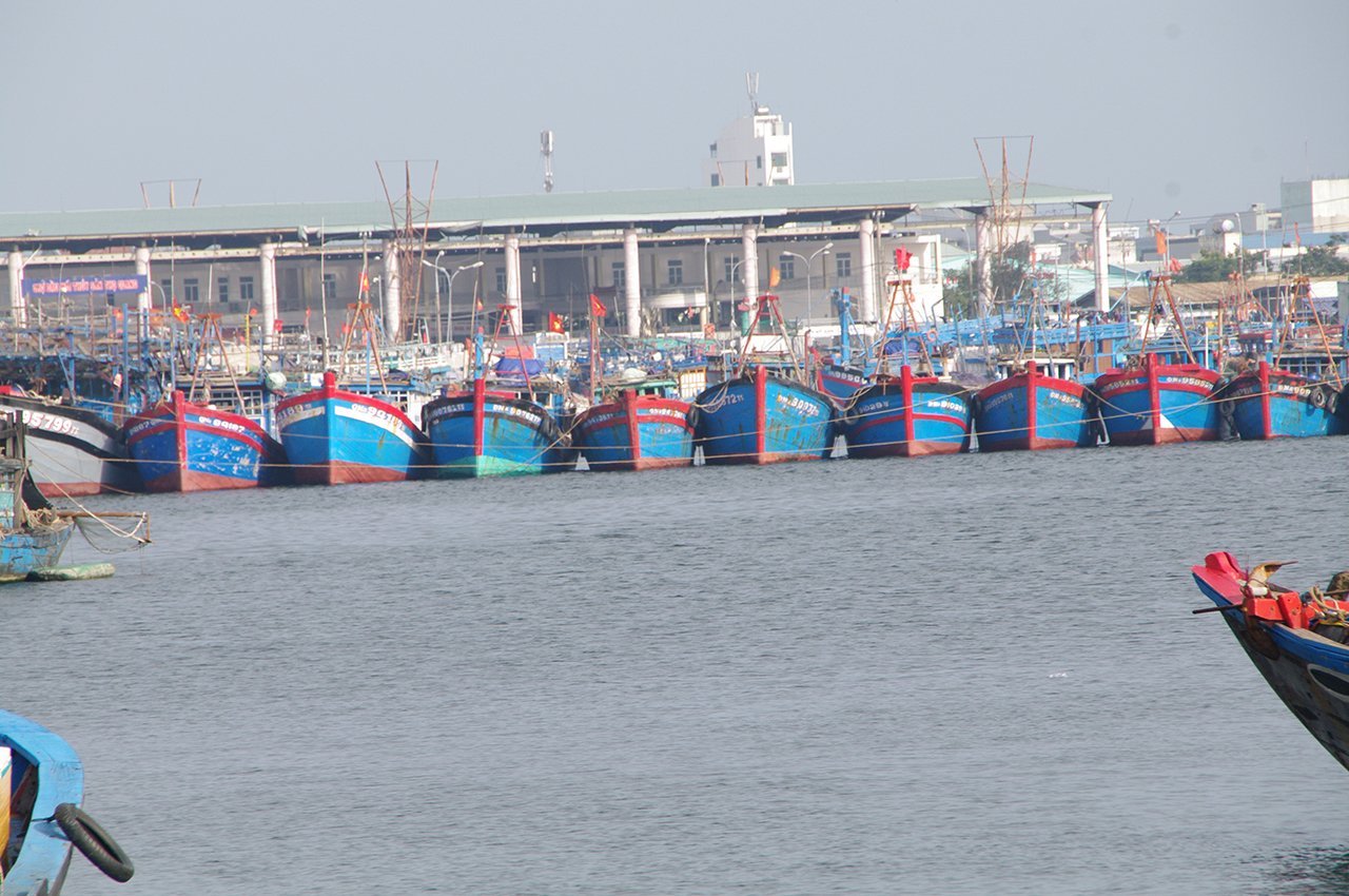 fishingboats4.jpg